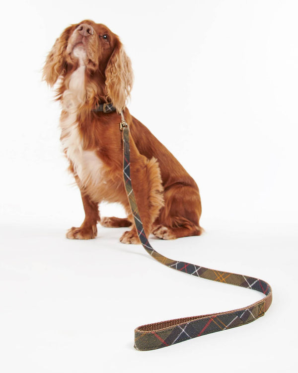 Barbour Classic Tartan Webbing Lead