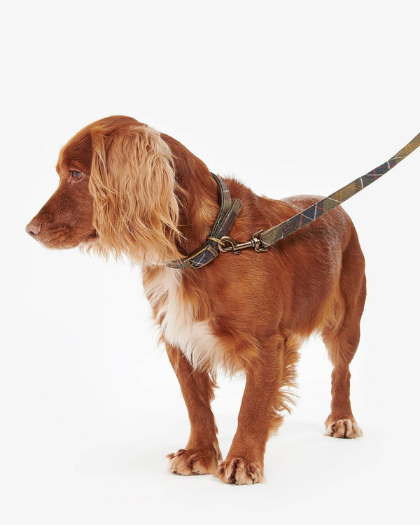 Barbour Classic Tartan Webbing Lead