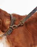 Barbour Classic Tartan Webbing Lead