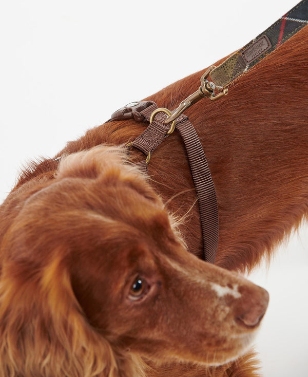 Barbour Travel & Exercise Harness