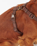Barbour Travel & Exercise Harness