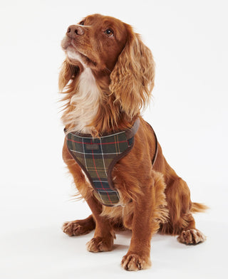 Barbour Travel & Exercise Harness