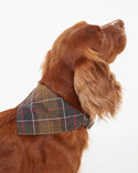 Barbour Dog Bandana