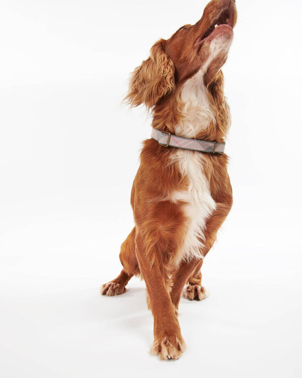 Barbour Reflective Tartan Comfort Collar