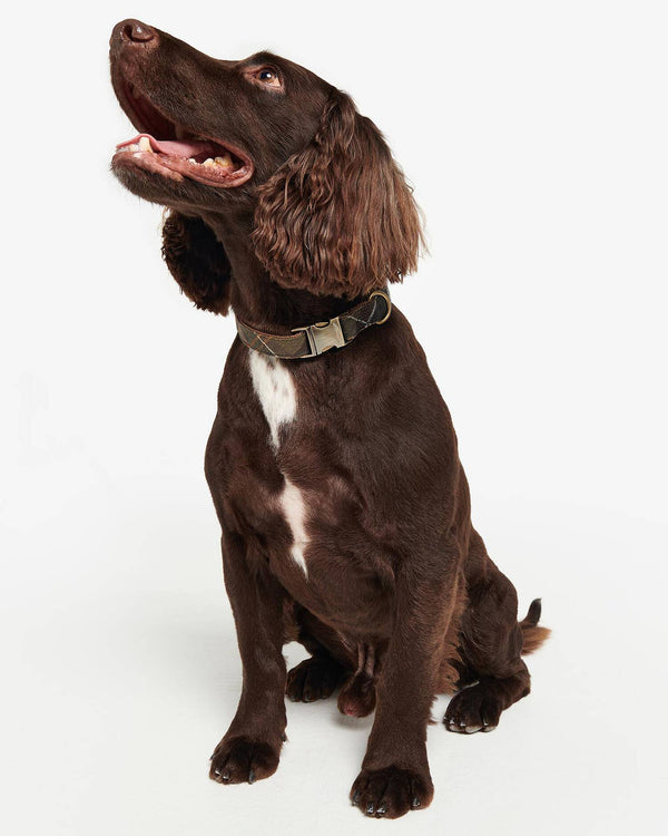 Barbour Reflective Tartan Comfort Collar