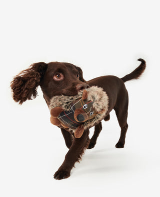 Barbour