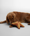 Barbour Starfish Toy