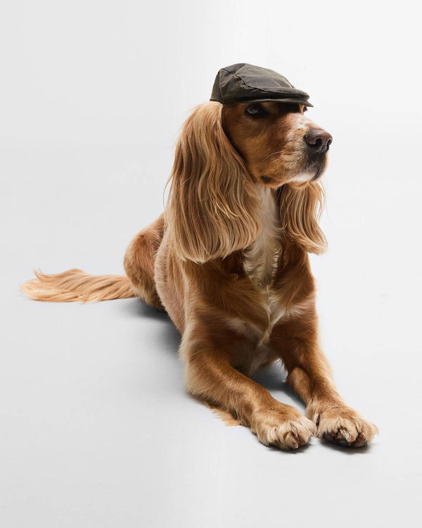 Barbour Dog Wax Cap