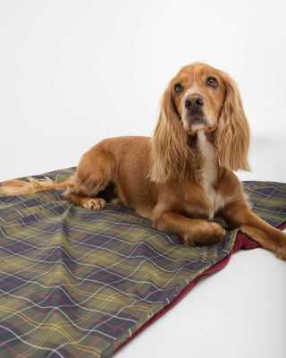 Barbour Dog Towel/Blanket