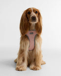 Barbour Evie Dog Harness