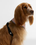 Barbour Evie Dog Harness