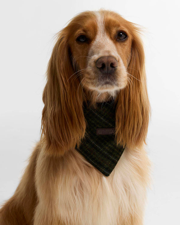 Barbour Wilkin Dog Bandana