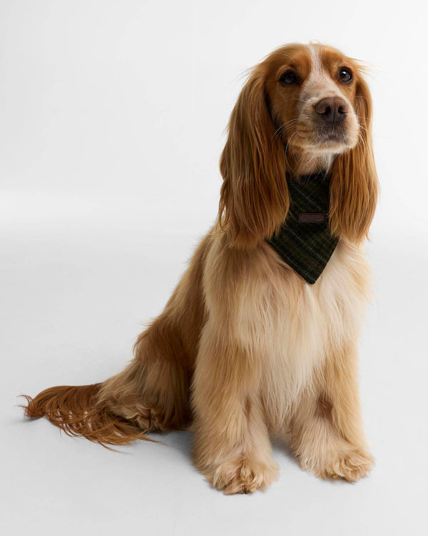 Barbour Wilkin Dog Bandana