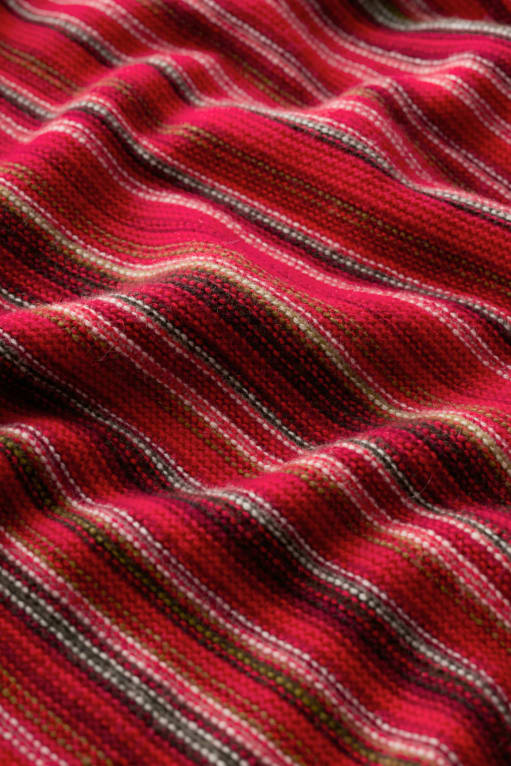 Seasalt Fruity II Stripe Jumper