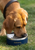 Dubarry Archie Medium Dog Bowl