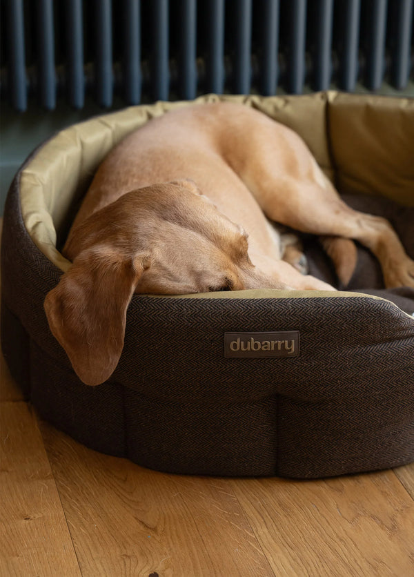 Dubarry Buster Medium Dog Bed